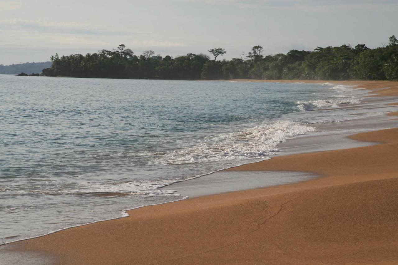 Bluff Beach Retreat Bocas del Toro Buitenkant foto