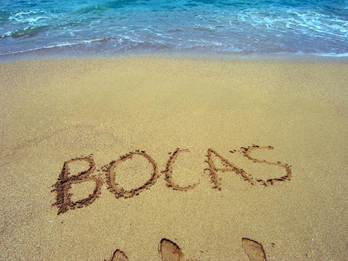 Bluff Beach Retreat Bocas del Toro Buitenkant foto
