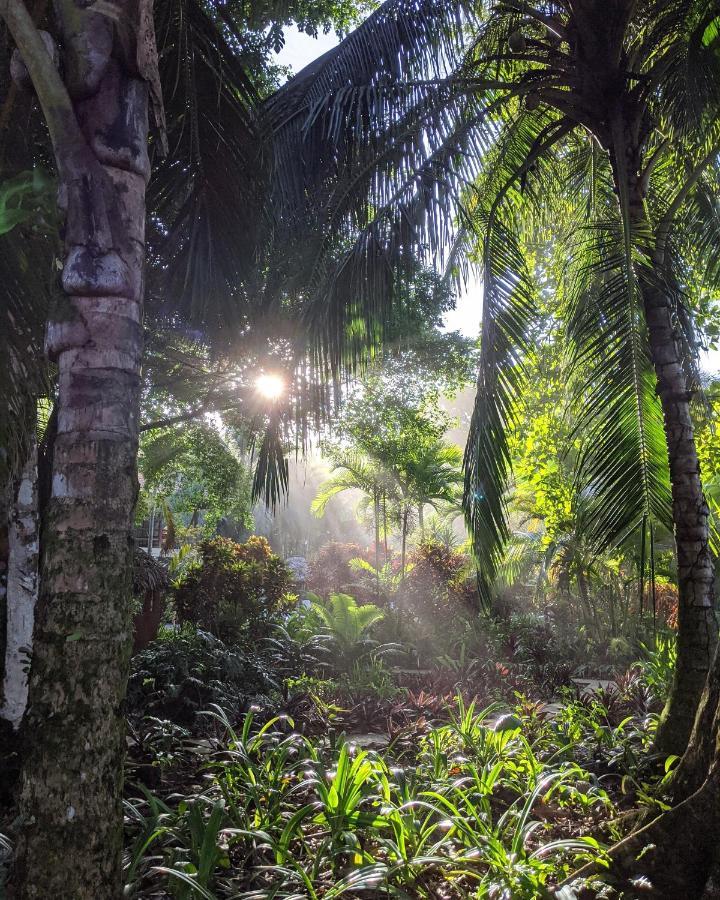 Bluff Beach Retreat Bocas del Toro Buitenkant foto