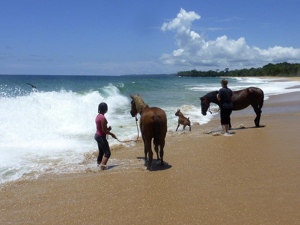 Bluff Beach Retreat Bocas del Toro Buitenkant foto