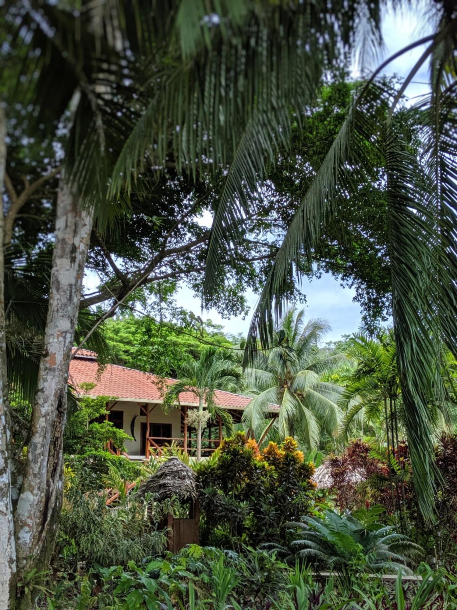 Bluff Beach Retreat Bocas del Toro Buitenkant foto