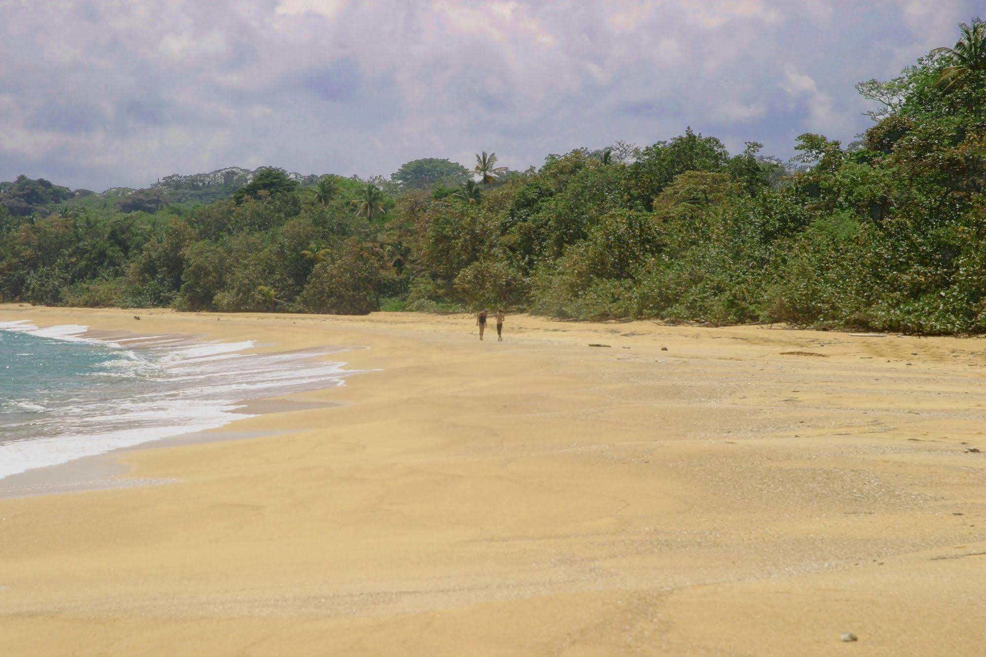 Bluff Beach Retreat Bocas del Toro Buitenkant foto