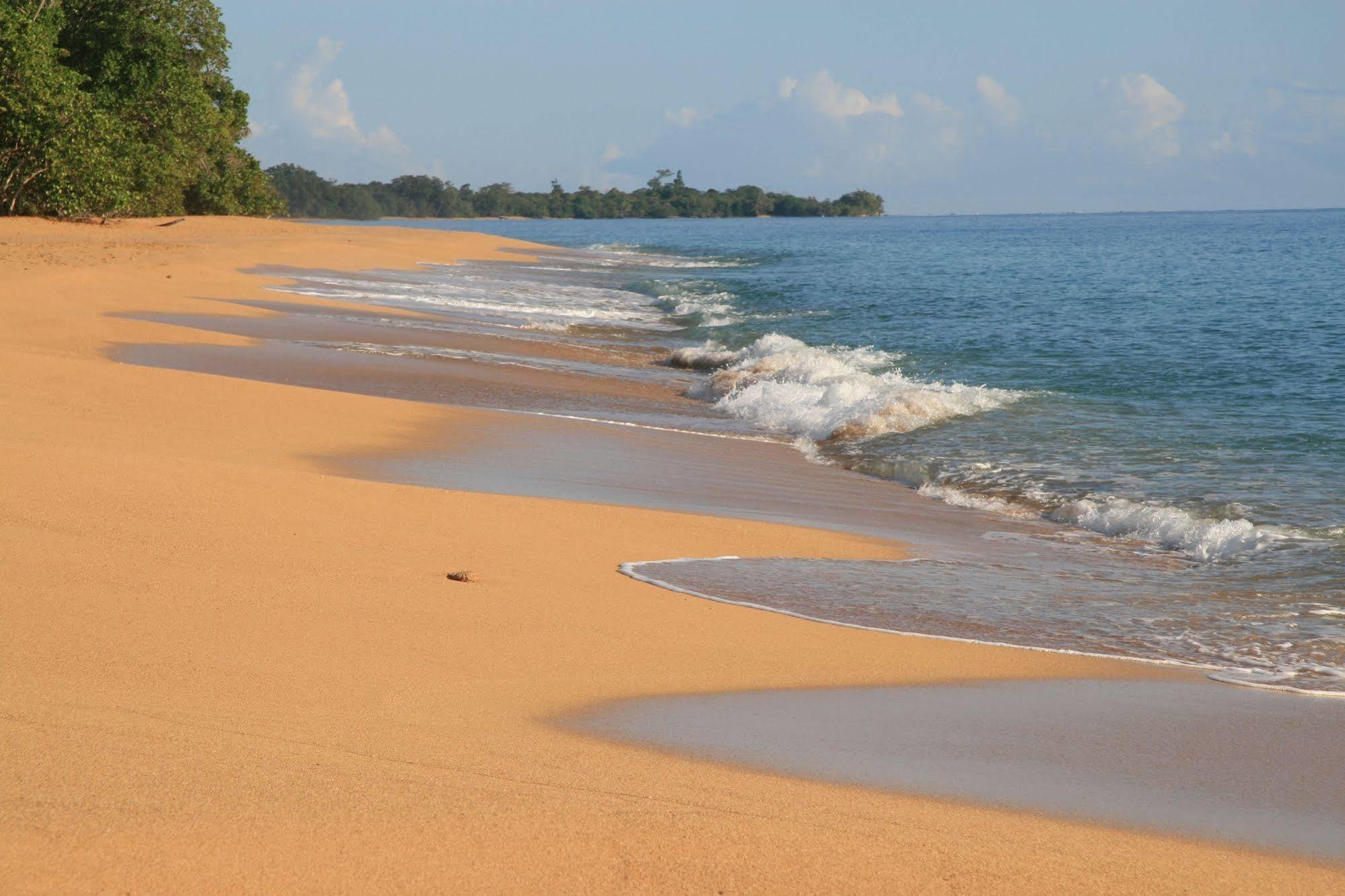 Bluff Beach Retreat Bocas del Toro Buitenkant foto