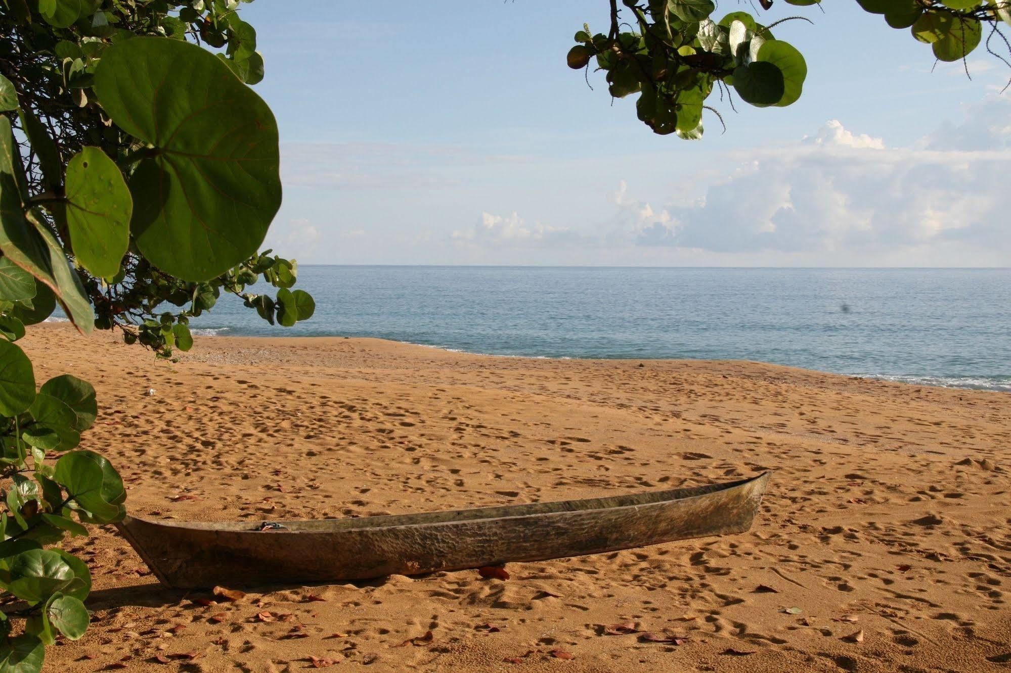 Bluff Beach Retreat Bocas del Toro Buitenkant foto